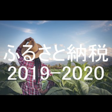 ふるさと納税2019-2020