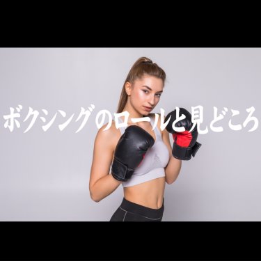 ボクシングのロールと見どころ